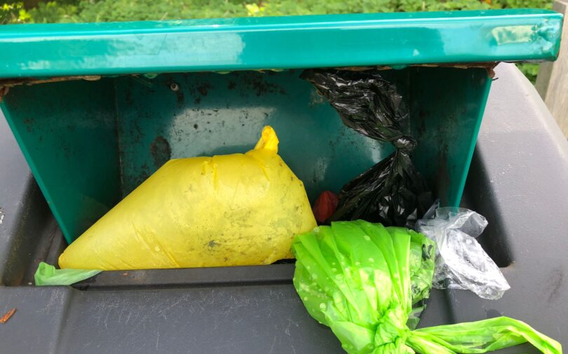 Sticklepath Dog Bin image